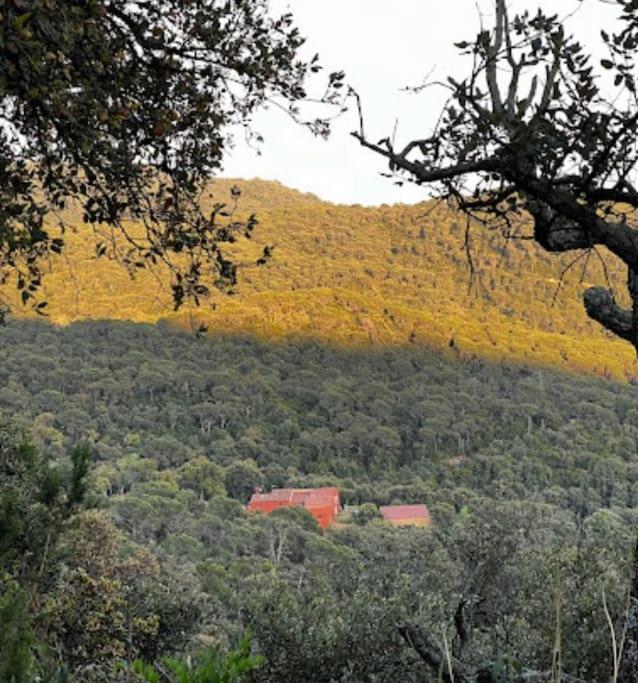 Masia Can Castellar Sant Iscle De Vallalta Exterior foto